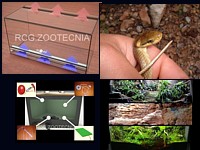 practica terrario 200