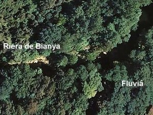 Confluencia riera de Biaña (Bianya) ICC
