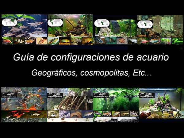 guia configuraciones destacada